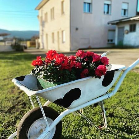 Viviendas Uso Turistico Reme II Foz Eksteriør billede